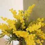 Mimosa Diseno Exclusivo 3* Ponteareas