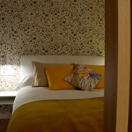 Mimosa Diseno Exclusivo Ponteareas