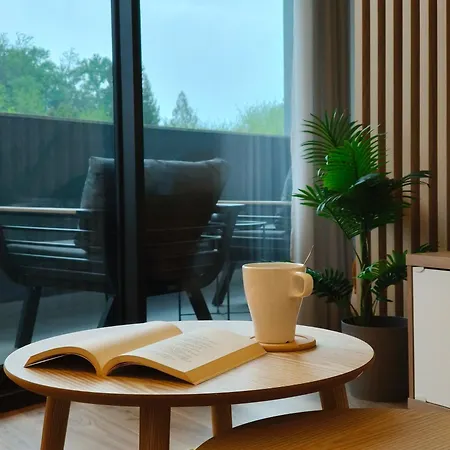 Mimosa Diseno Exclusivo 招待所 3*
